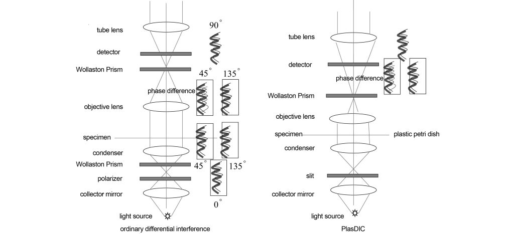 differential interference optical path diagram