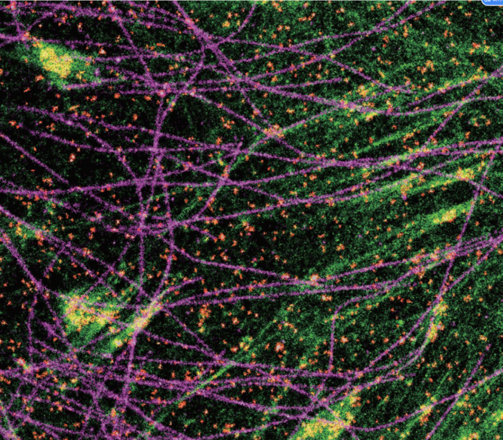 Multi-color imaging capability