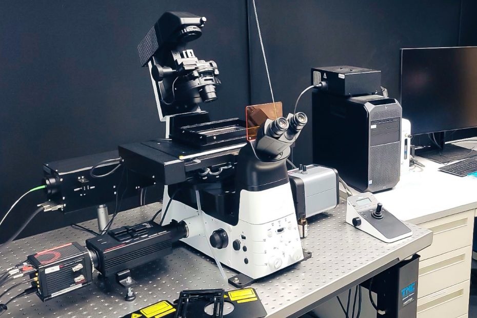 Stochastic Optical Reconstruction Microscopy