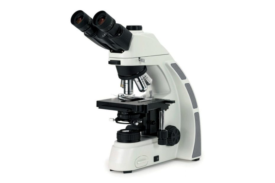 Darkfield microscopy