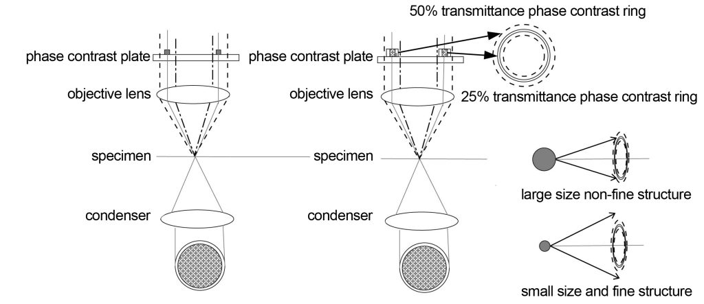 phase-contrast optical system