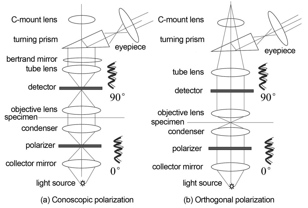 polarization-contrast optical system