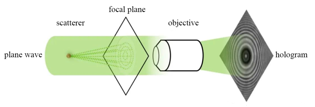 Schematic diagram of coaxial digital holography principle
