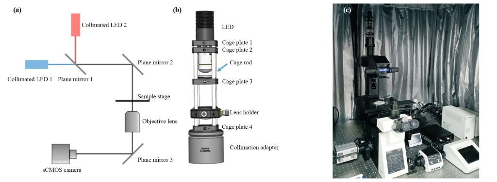 Coaxial digital holographic microscope setup diagram