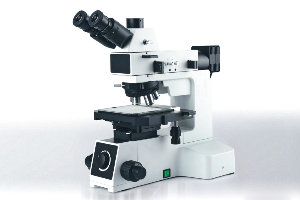 differential interference microscopy